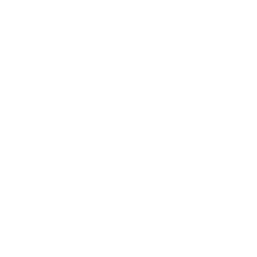 Google+ Logo